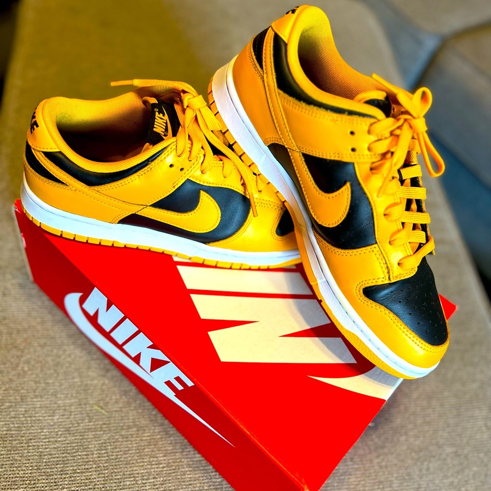 Nike Dunk Low Retro
